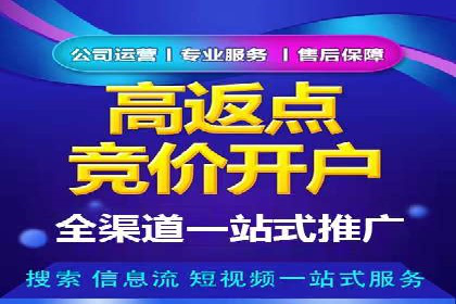 充值高返点案例：新手快速入门指南